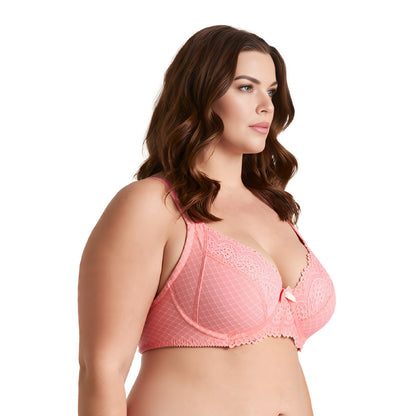 Women's Plus Size Unlined Underwire Lace Bra with Cushion Straps